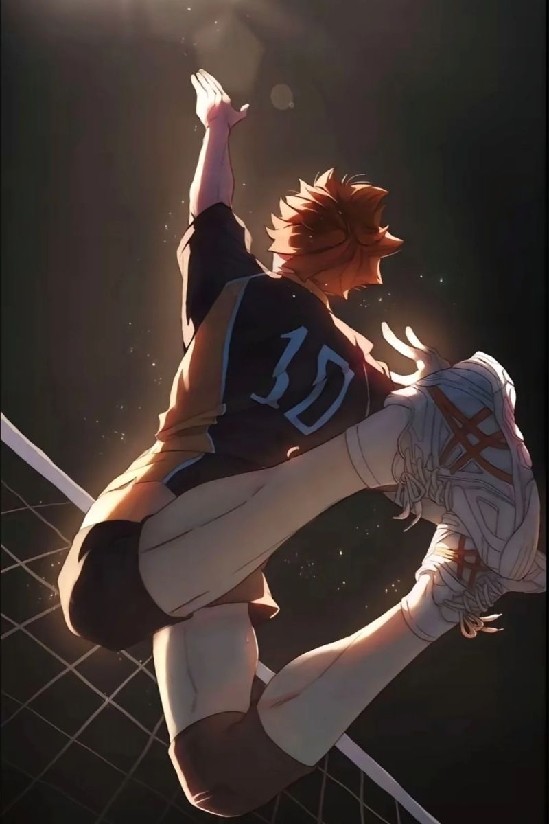 ảnh Hinata Shoyo chất