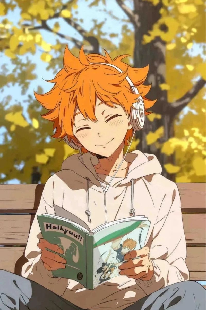 ảnh Hinata Shoyo full hd