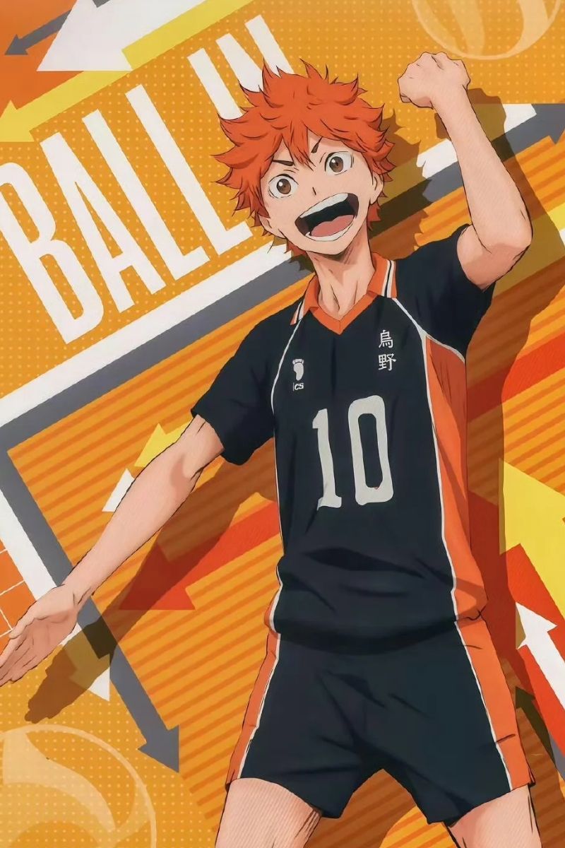hình Hinata Shoyo 3d