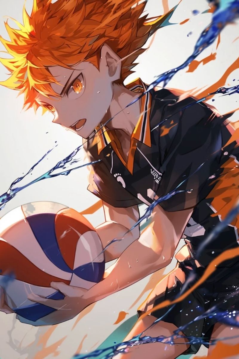 hình Hinata Shoyo cực chất