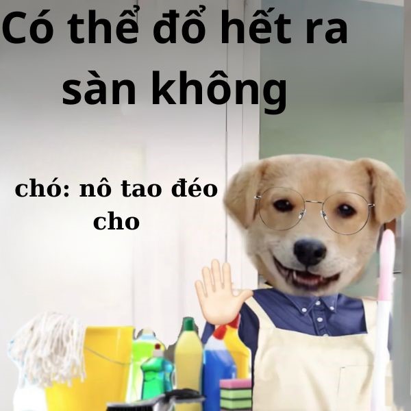 ảnh chó troll đơn giản