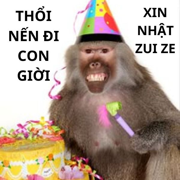 ảnh chúc mừng sinh nhật troll