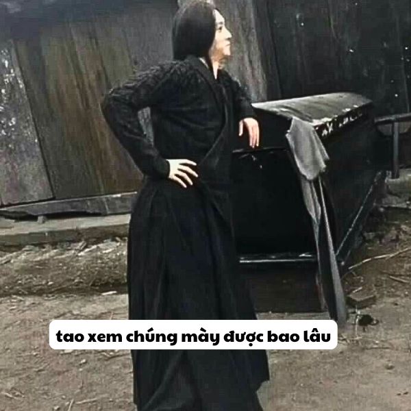 ảnh meme bất lực