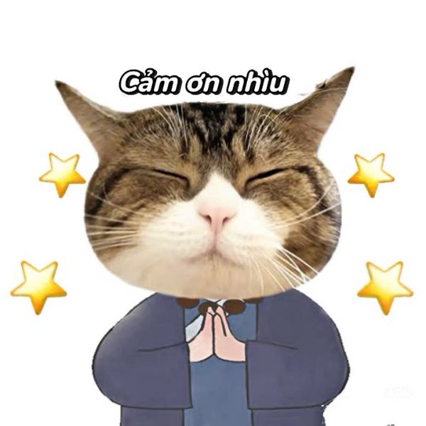 ảnh meme cảm ơn chế