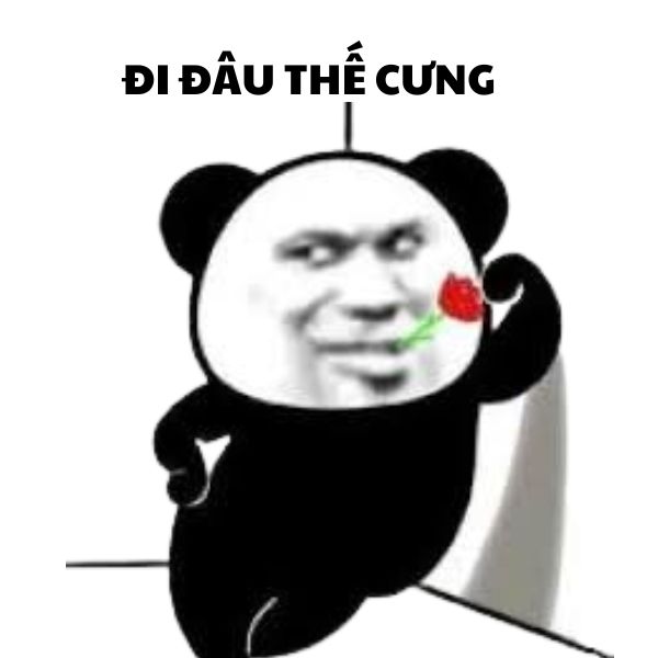 ảnh meme gấu trúc bựa đáng yêu