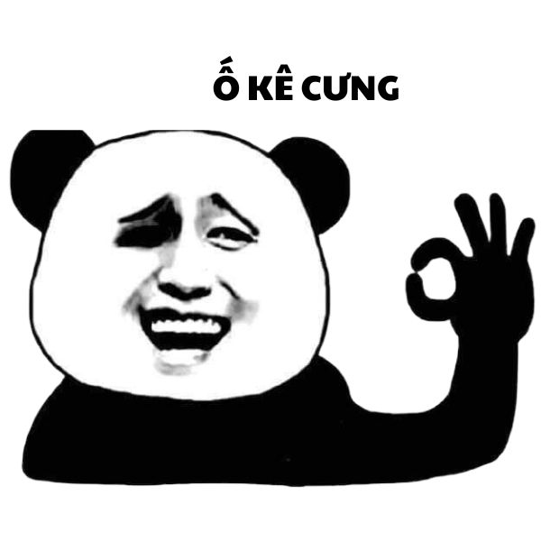 ảnh meme gấu trúc bựa tấu hài