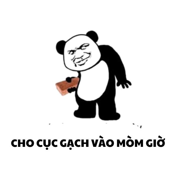 ảnh meme gấu trúc bựa