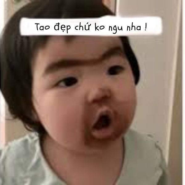 ảnh meme hài người