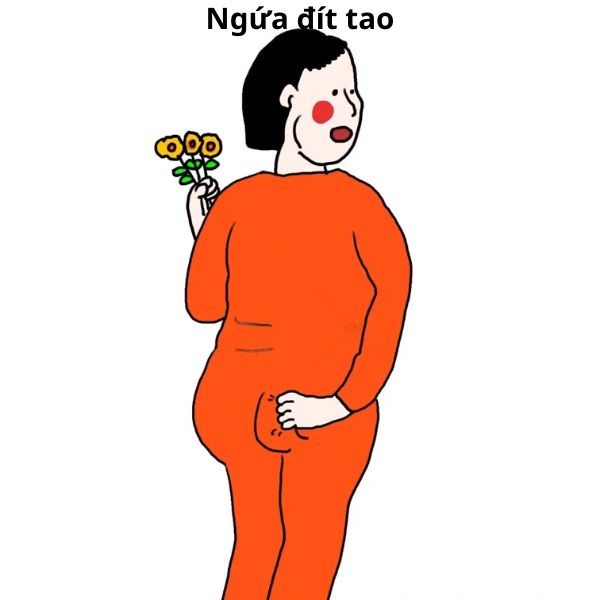 ảnh meme ngứa đít