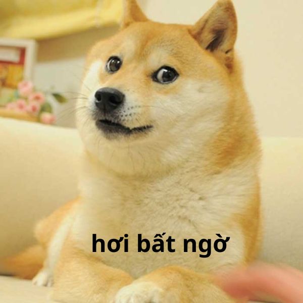 ảnh meme nước ngoài