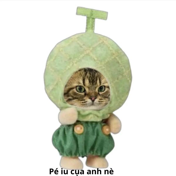 ảnh meme pé iu của anh