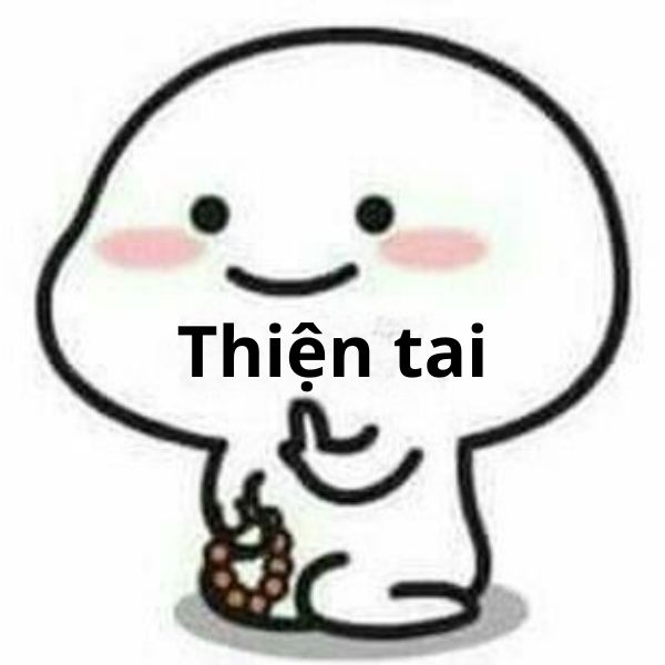 ảnh meme thiện tai