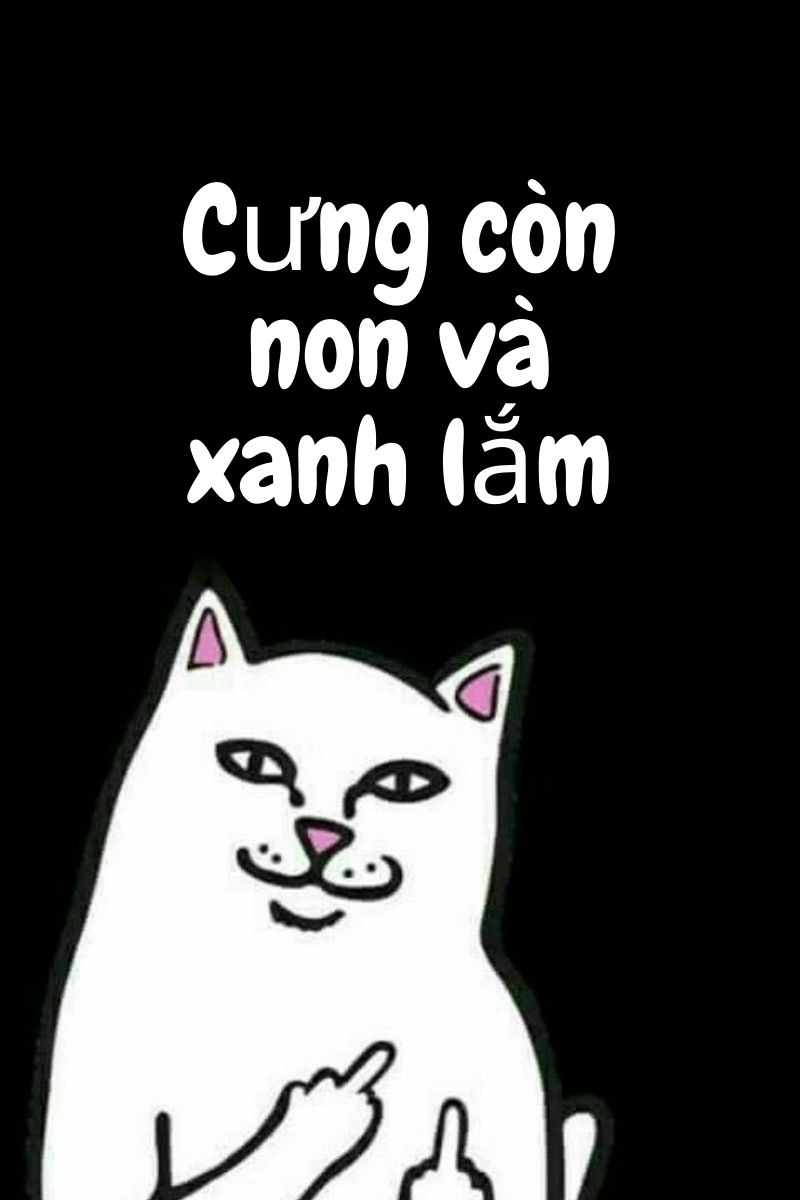 ảnh nền meme