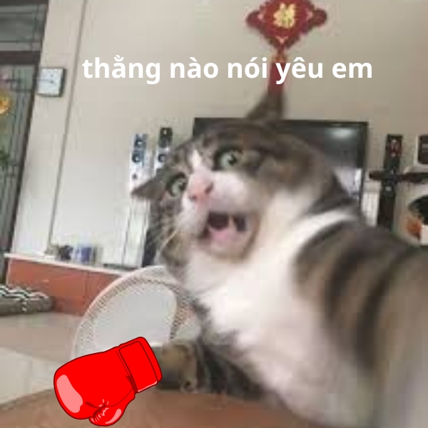 ảnh siêu bựa gào