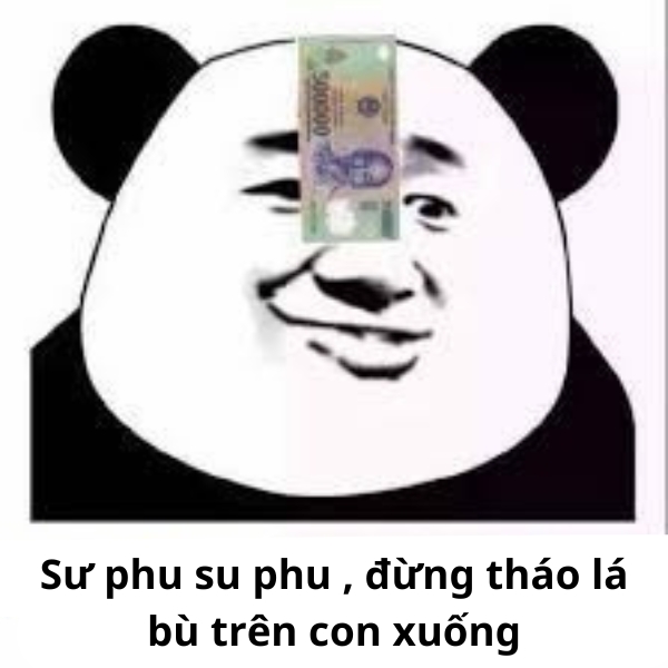 ảnh siêu bựa gấu