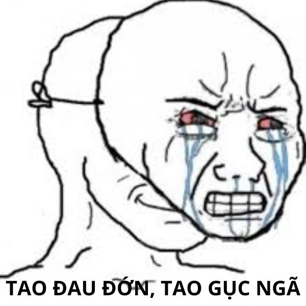 ảnh troll face hài hước