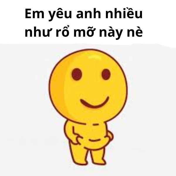 ảnh troll ny bé mỡ