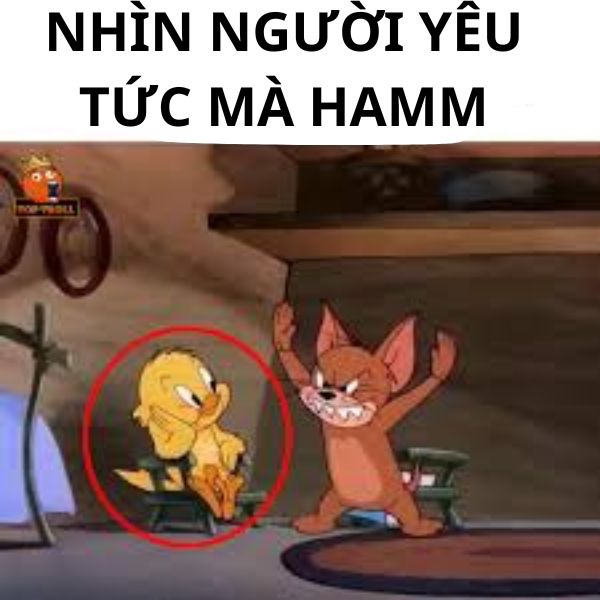 ảnh troll ny hài hước