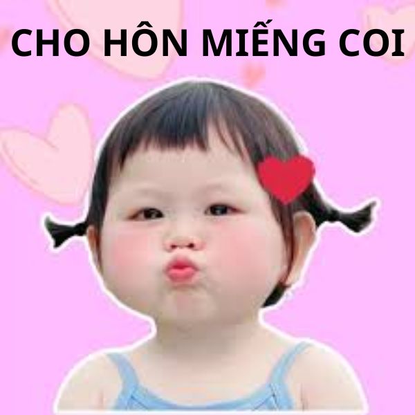 ảnh troll ny hun miếng