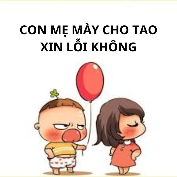 ảnh troll ny xin lỗi mà