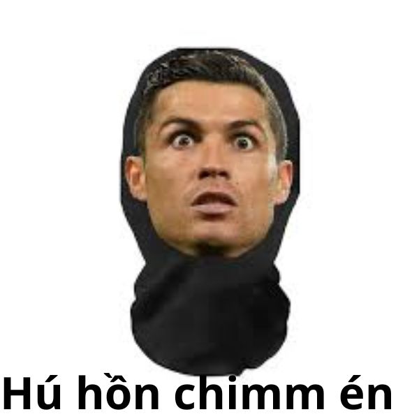 ảnh troll việt nam cr7