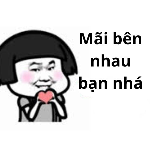 ảnh troll việt nam mãi bên nhau