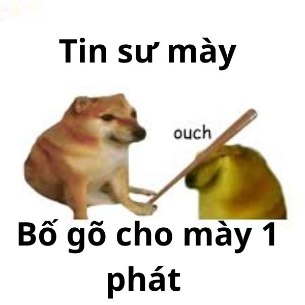 ảnh troll việt nam oánh mày