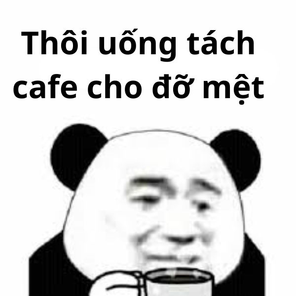 ảnh troll việt nam uống cffe