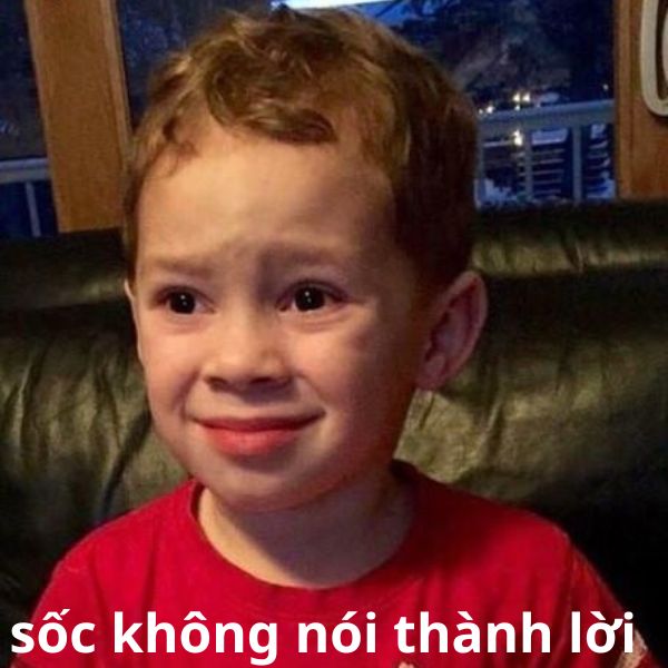 các meme nổi tiếng