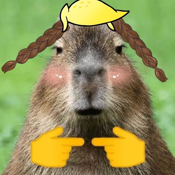 capybara meme loove