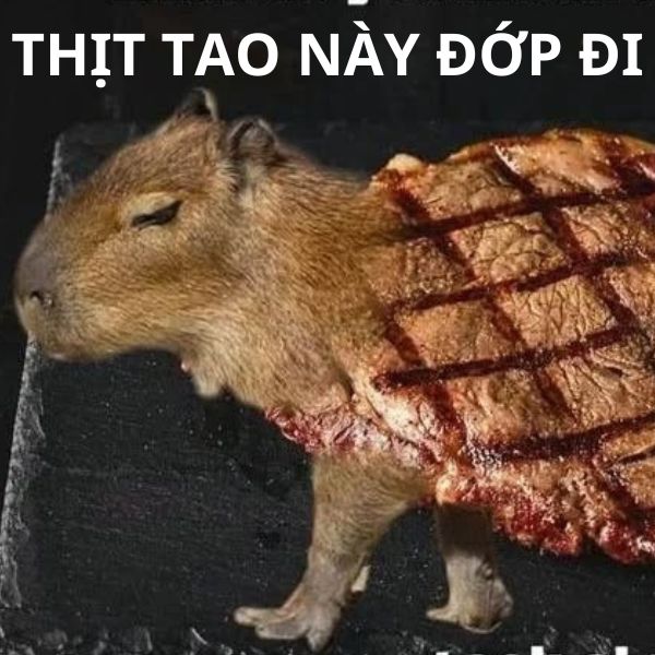 capybara meme thịt nướng