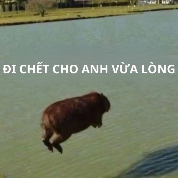 capybara meme tự tự