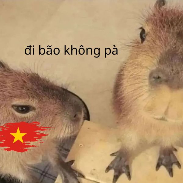 capybara meme việt nam