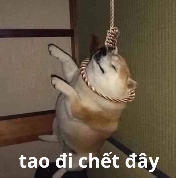 chó meme hài