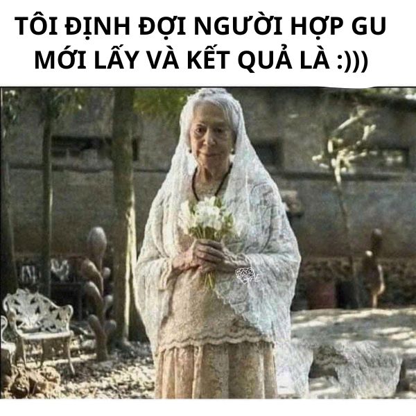 cute meme ảnh troll bụt