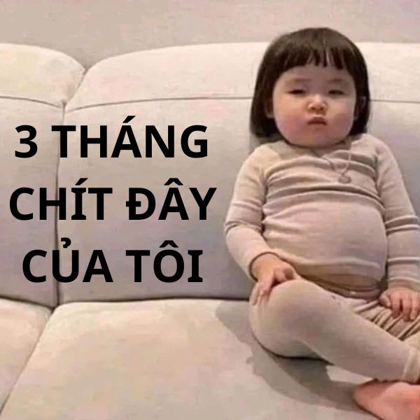 cute meme ảnh troll chít đây