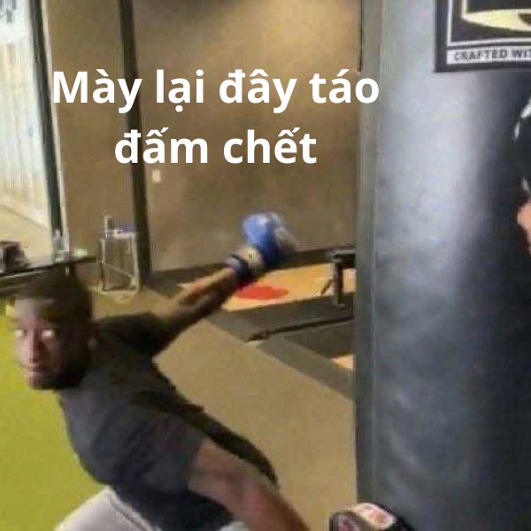 cute meme ảnh troll đấm chết