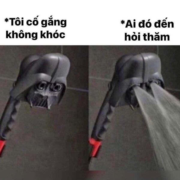 cute meme ảnh troll không khốc