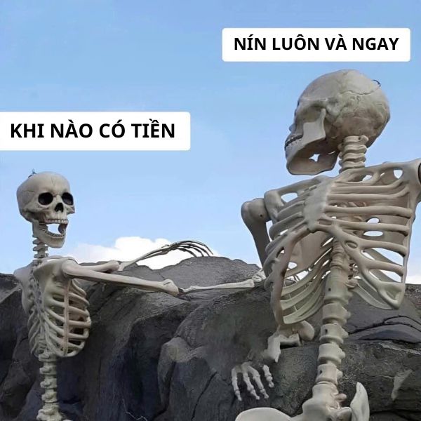 cute meme ảnh troll xương khô