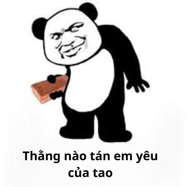 gấu trúc meme cầm gạch