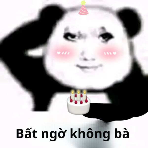 93+ Hình ảnh happy birthday meme cực bựa troll bạn thân