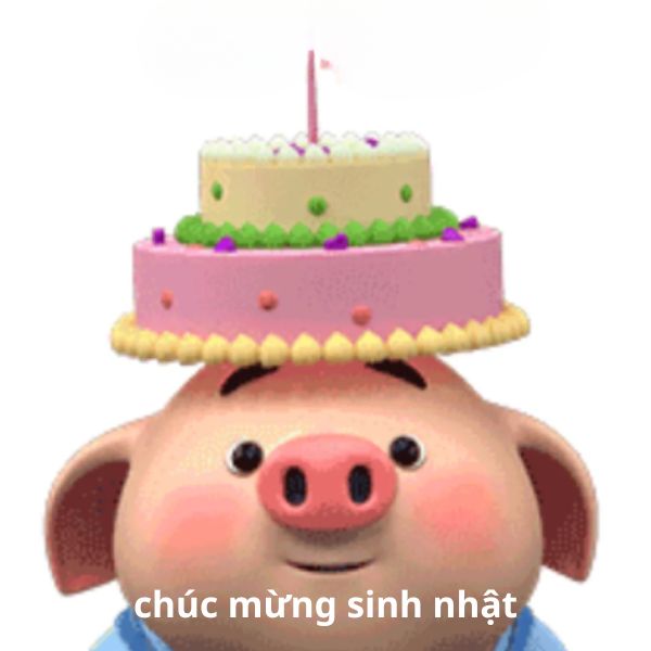 happy birthday meme lợn