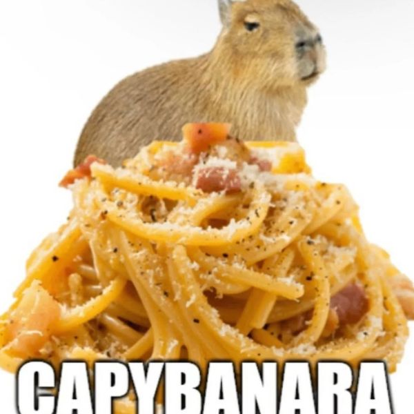 hình ảnh capybara meme ăn mỳ