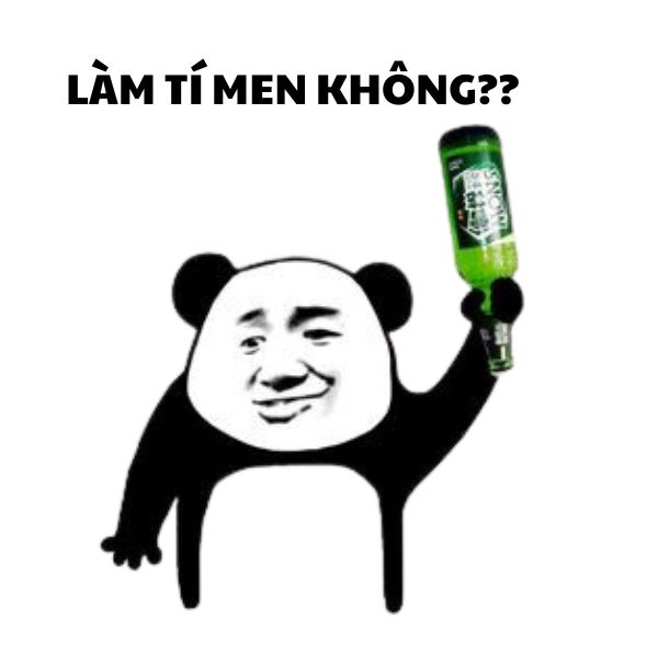 hình ảnh meme gấu trúc bựa bia