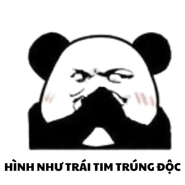 hình ảnh meme gấu trúc bựa cười