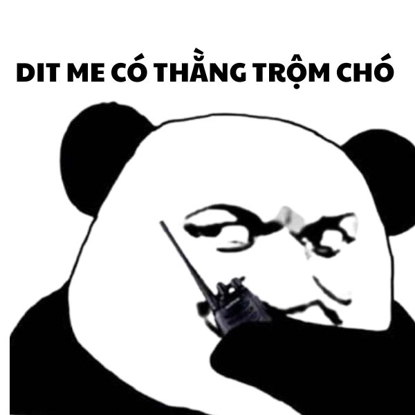 hình ảnh meme gấu trúc bựa khắm bửn