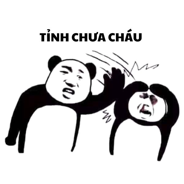 hình ảnh meme gấu trúc bựa ố dề