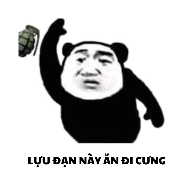 hình ảnh meme gấu trúc bựa tấu hài