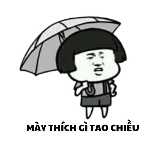 hình ảnh meme gấu trúc bựa