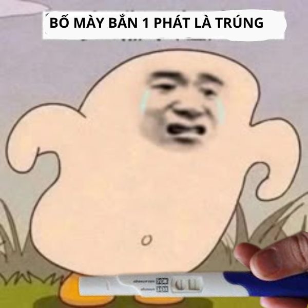 hình ảnh que thử thai 2 vạch troll có chửa